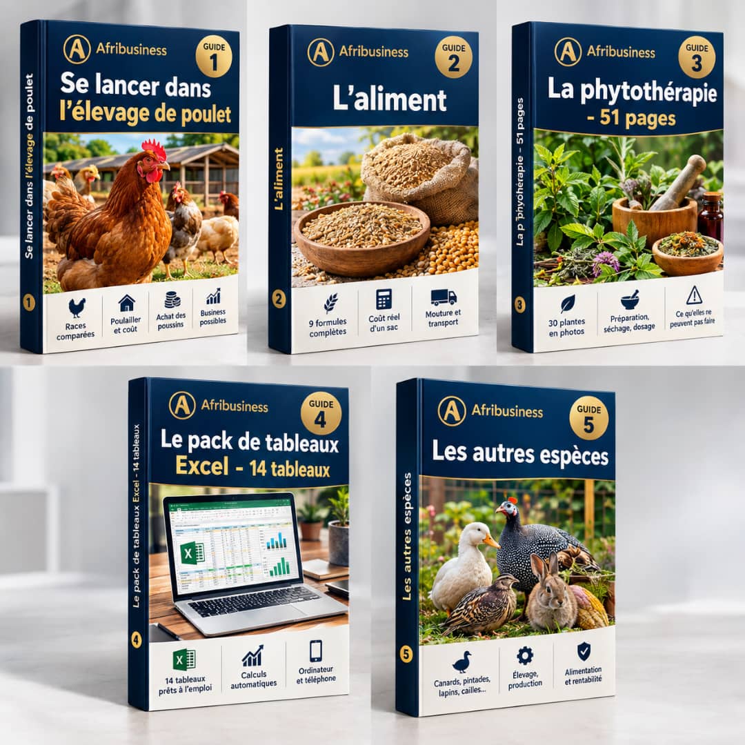 PACK ÉLEVAGE AVICOLE COMPLET — 5 guides pour une ferme rentable en Afrique ».