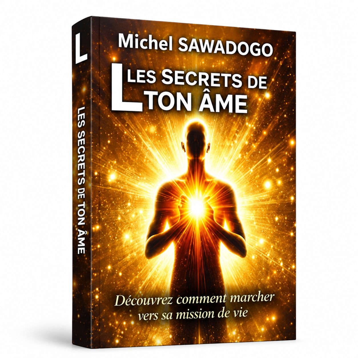 Les Secrets de ton âme de Michel SAWADOGO