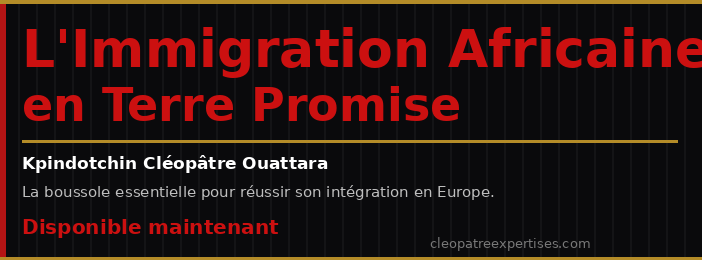 L'Immigration Africaine en Terre Promise