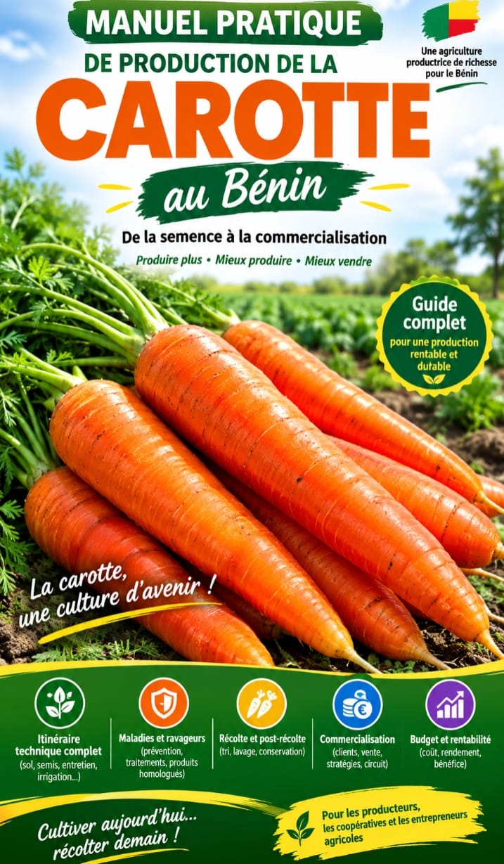 Guide pratique de la production de la carotte