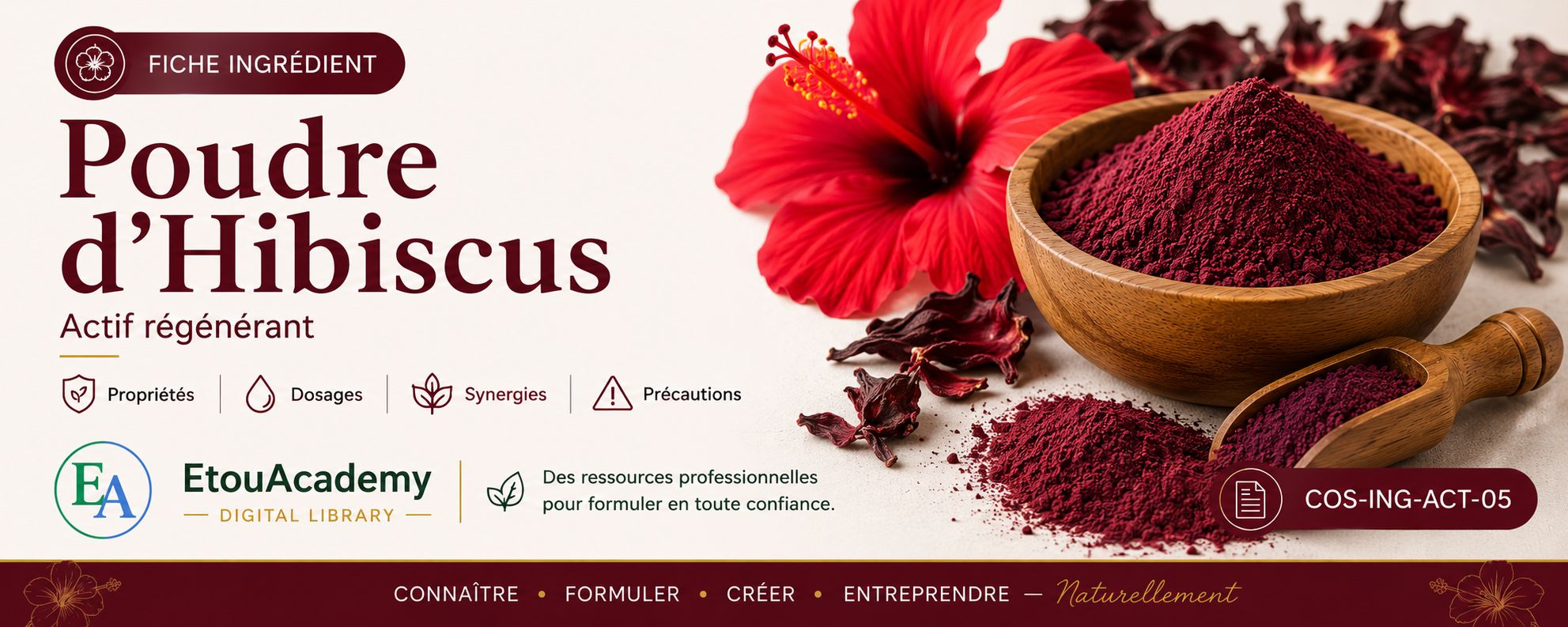Fiche Ingrédient – Poudre d'Hibiscus | Actif régénérant (PDF)