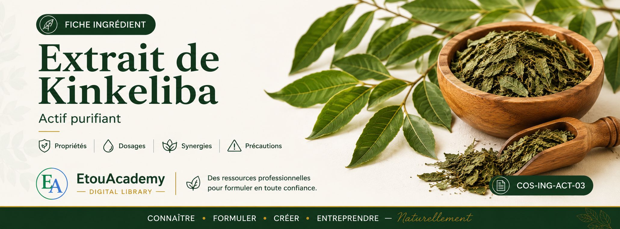 Fiche Ingrédient – Extrait de Kinkeliba | Actif purifiant (PDF)