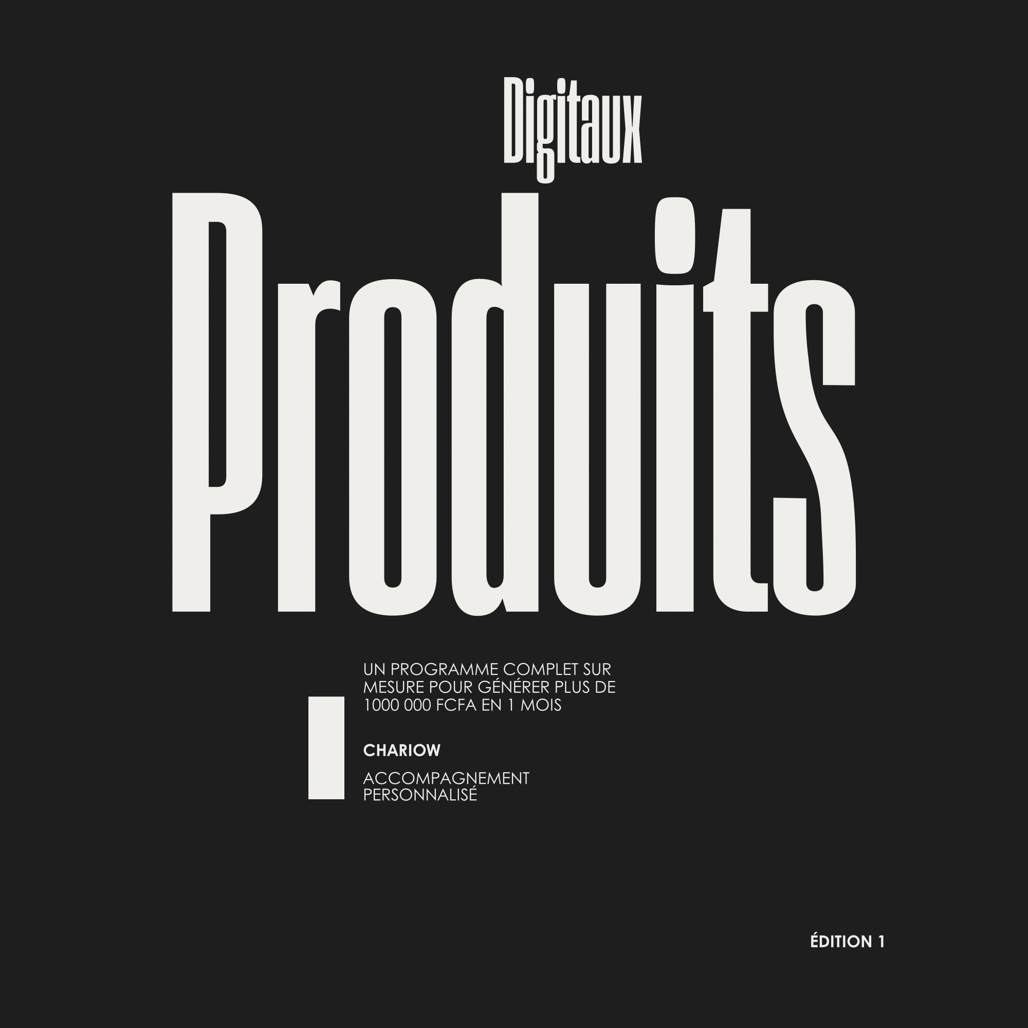 5- PRODUITS DIGITAUX : 100 EBOOKS