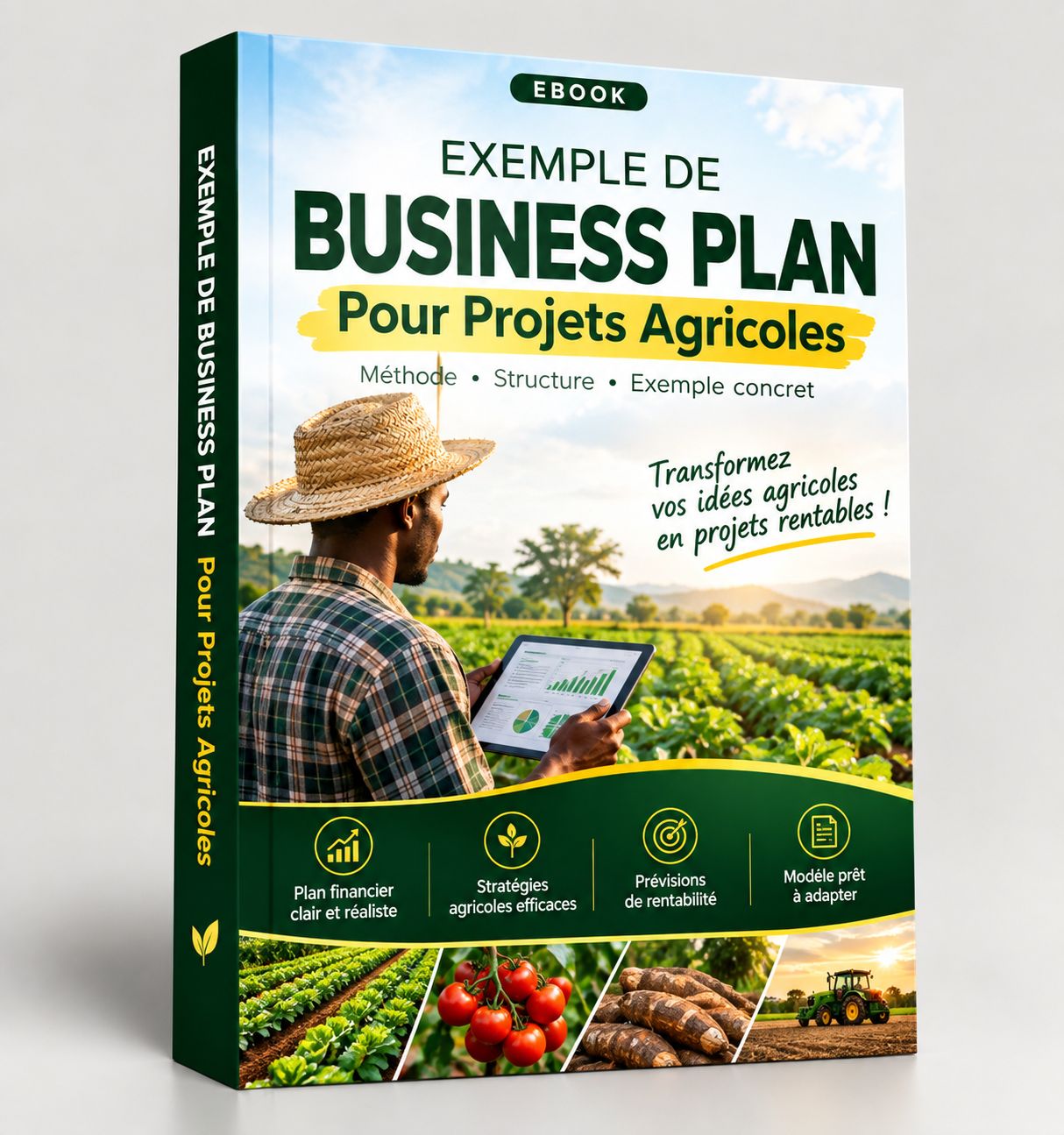 BUSINESS PLAN POUR PROJETS AGRICOLES 🚜