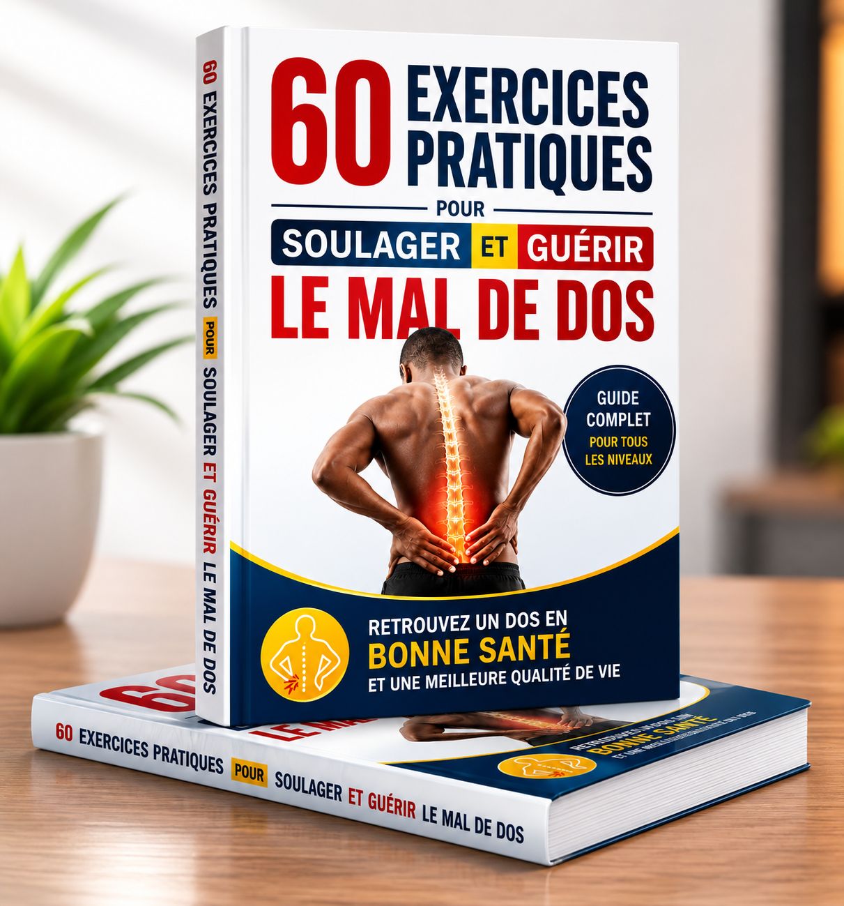 đ 60 EXERCICES PRATIQUES POUR SOULAGER ET GUĂRIR LE MAL DE DOS