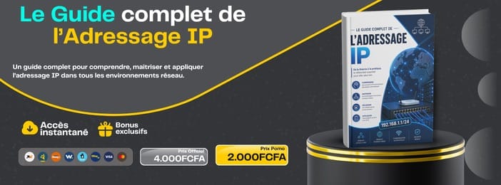 Maîtriser l'Adressage IP — Module 2/8 : Calculez, Configurez et Gérez vos Réseaux (copy)