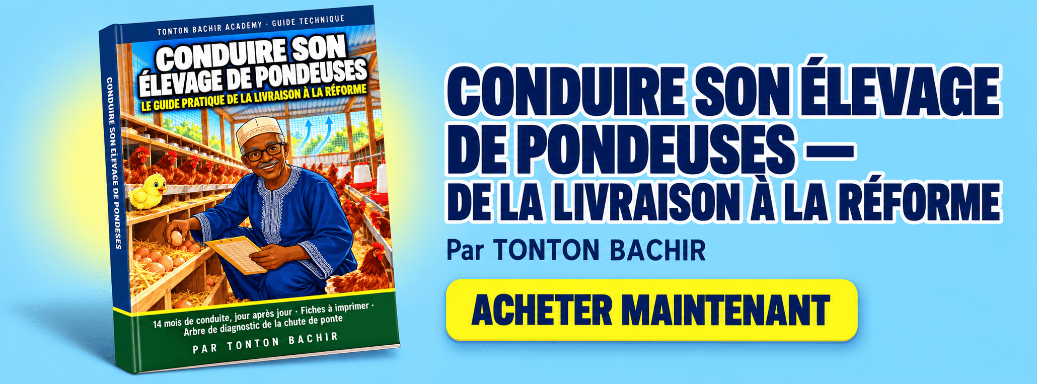 Conduire son élevage de pondeuses — de la livraison à la réforme