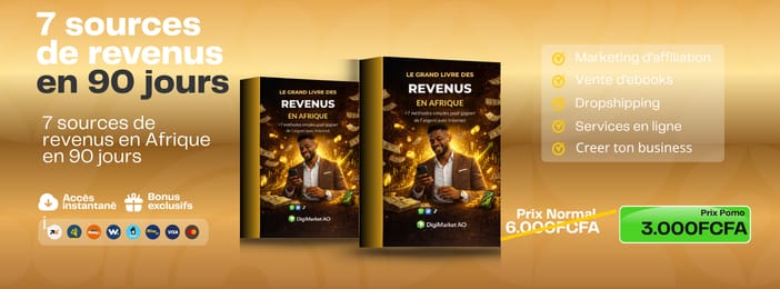 7 sources de revenus en Afrique en 90 jours
