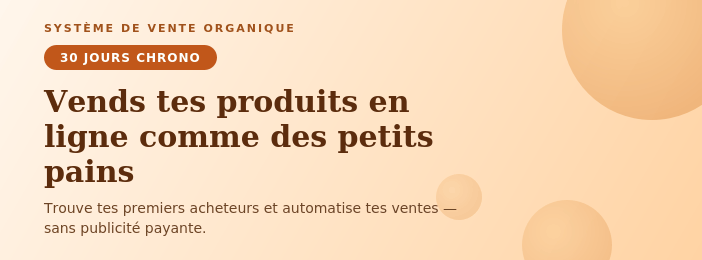 Vendre tes produits en ligne comme des bouts de pains