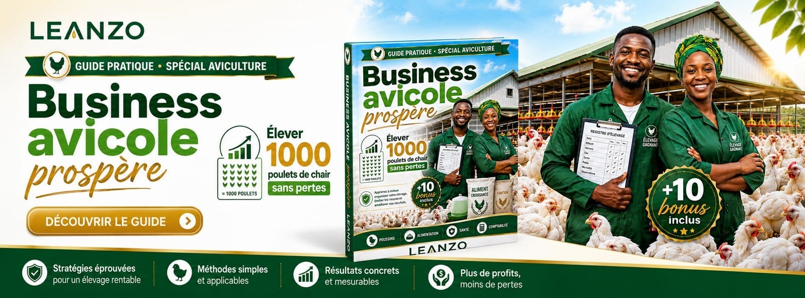 Business Avicole Prospere - Elever 1000 Poulets de Chair sans Pertes