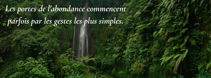 Les 7 Plantes Sacrées qui Ouvrent les Portes de la Prospérité