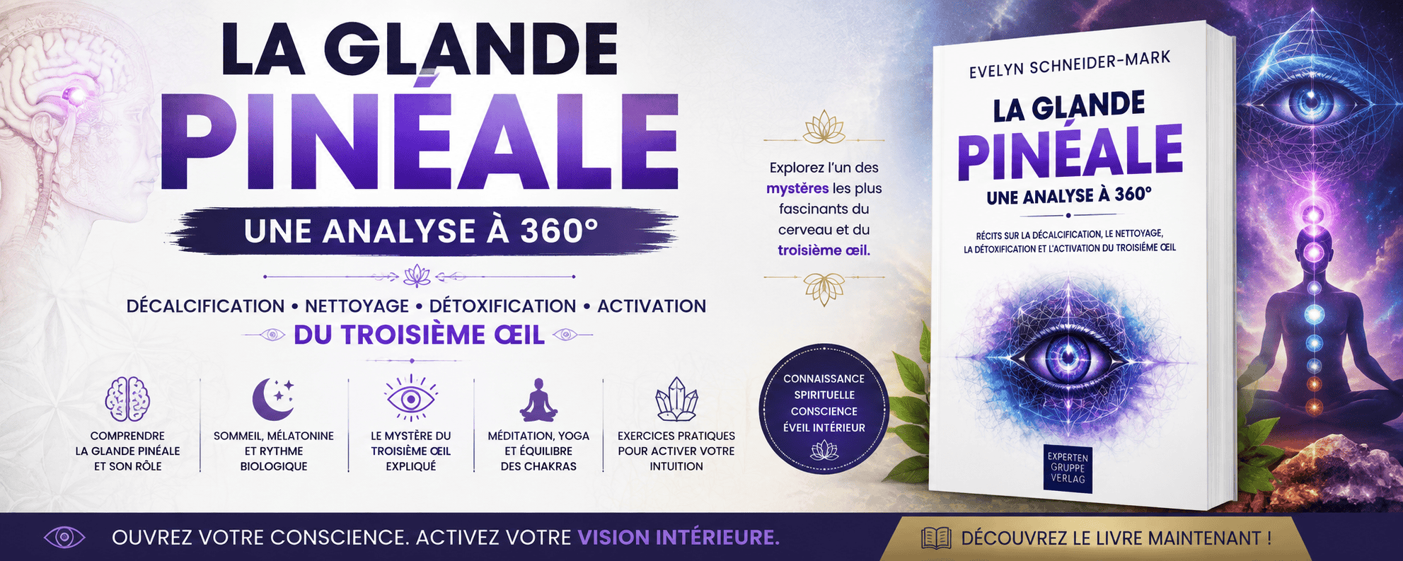 LA GLANDE PINÉALE — UNE ANALYSE À 360°
