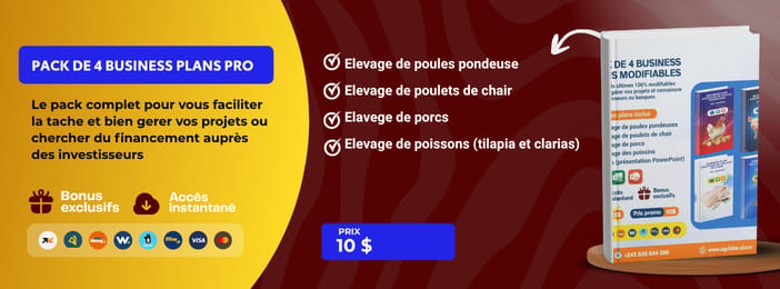 Pack Business Plans Bancables: 4 Modèles Professionnels Approuvés par les Banques