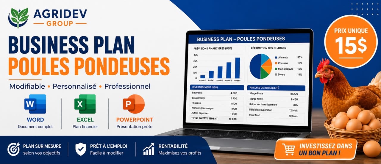 Business plan - élevage de poules pondeuses