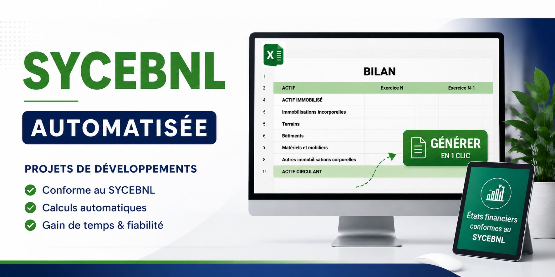 LIASSE FISCALE SYCEBNL EXCEL