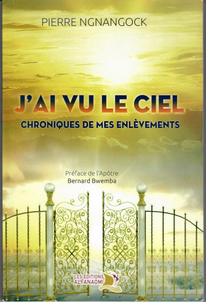 J'ai vu le ciel ; Chronique de mes enlèvements