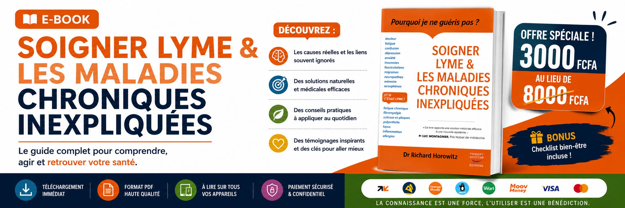 Pourquoi je ne guéris pas ? – Soigner Lyme & les maladies chroniques inexpliquées