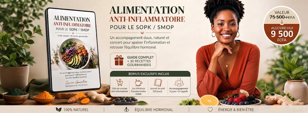 Guide anti-inflammatoire: 30 recettes pour SOPK & SMOP, boostez votre bien-etre