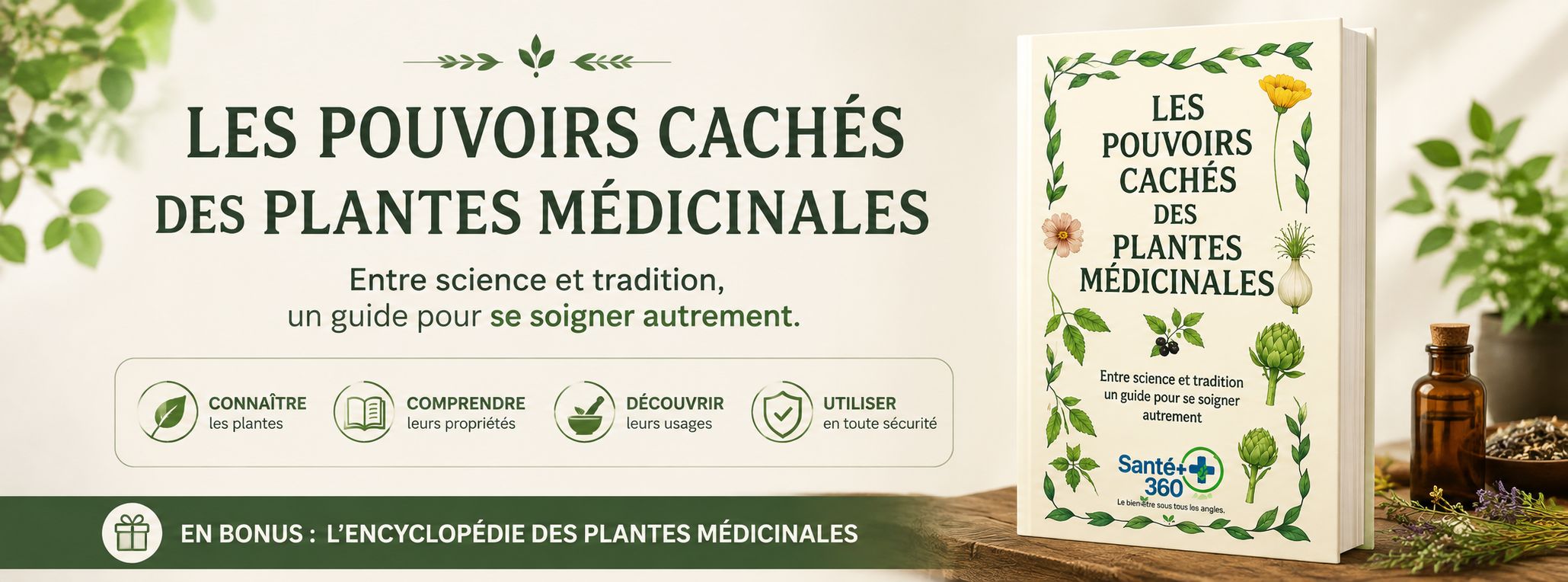 LES POUVOIRS CACHÉS DES PLANTES MÉDICINALES