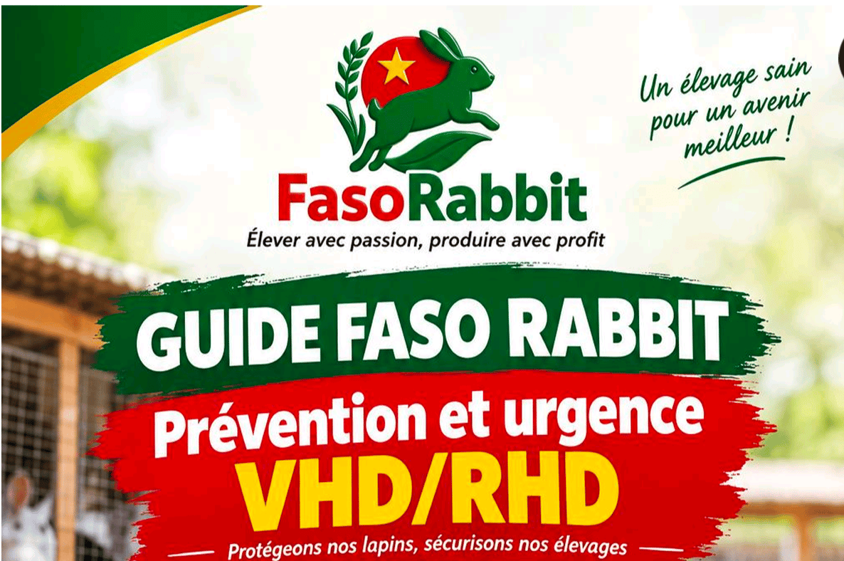 Guide de prévention et Urgence VHD/RHD
