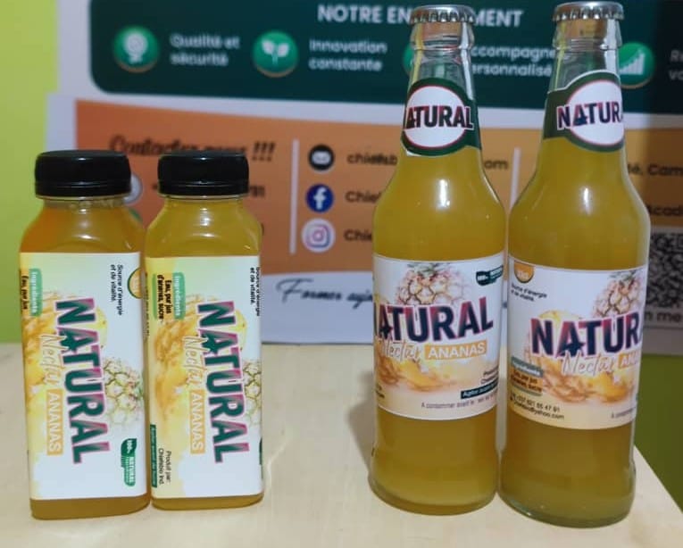 FORMATION SUR LA PRODUCTION ET LA CONSERVATION DES JUS DE FRUITS (Formation complète)