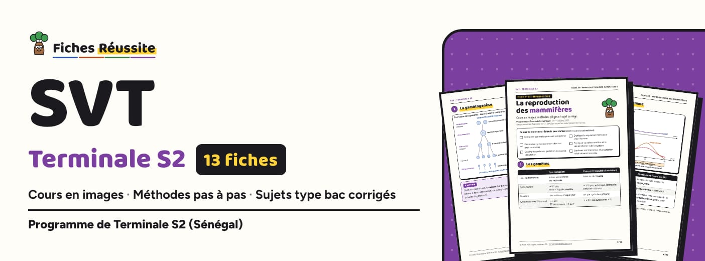 Extrait gratuit – SVT Terminale S2 (fiche S1 complète, PDF)