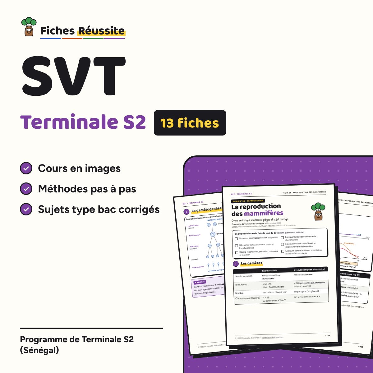 SVT Terminale S2 – 13 fiches de révision illustrées (PDF)