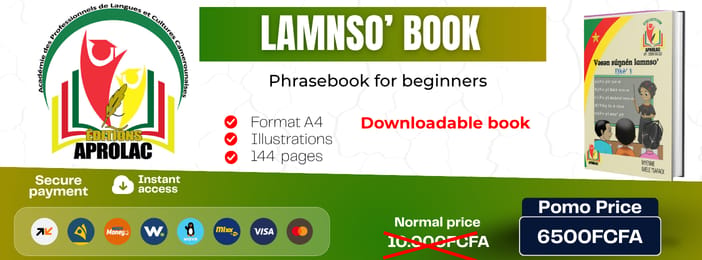 Lamnso' book (initial level)