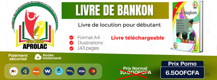 Livre de bankon (niveau initial)