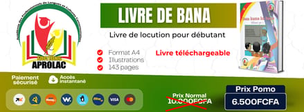 Livre de bana (niveau initial)