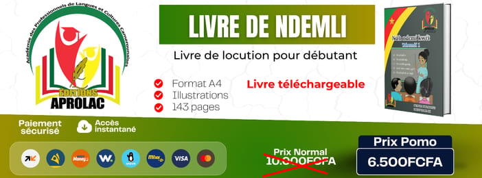 Livre de ndɛmli (niveau initial)