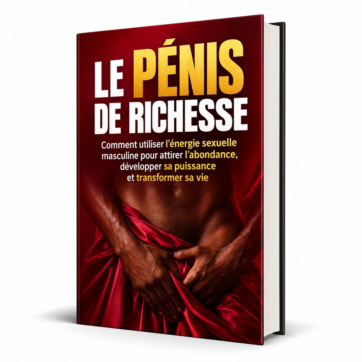 LE PÉNIS DE RICHESSE