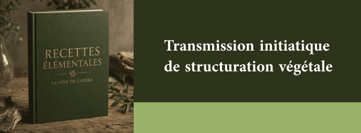 La Voie de l’Arbre — Recettes Élémentales