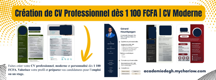 Création CV Professionnel au Bénin dès 1 100 FCFA | CV Moderne