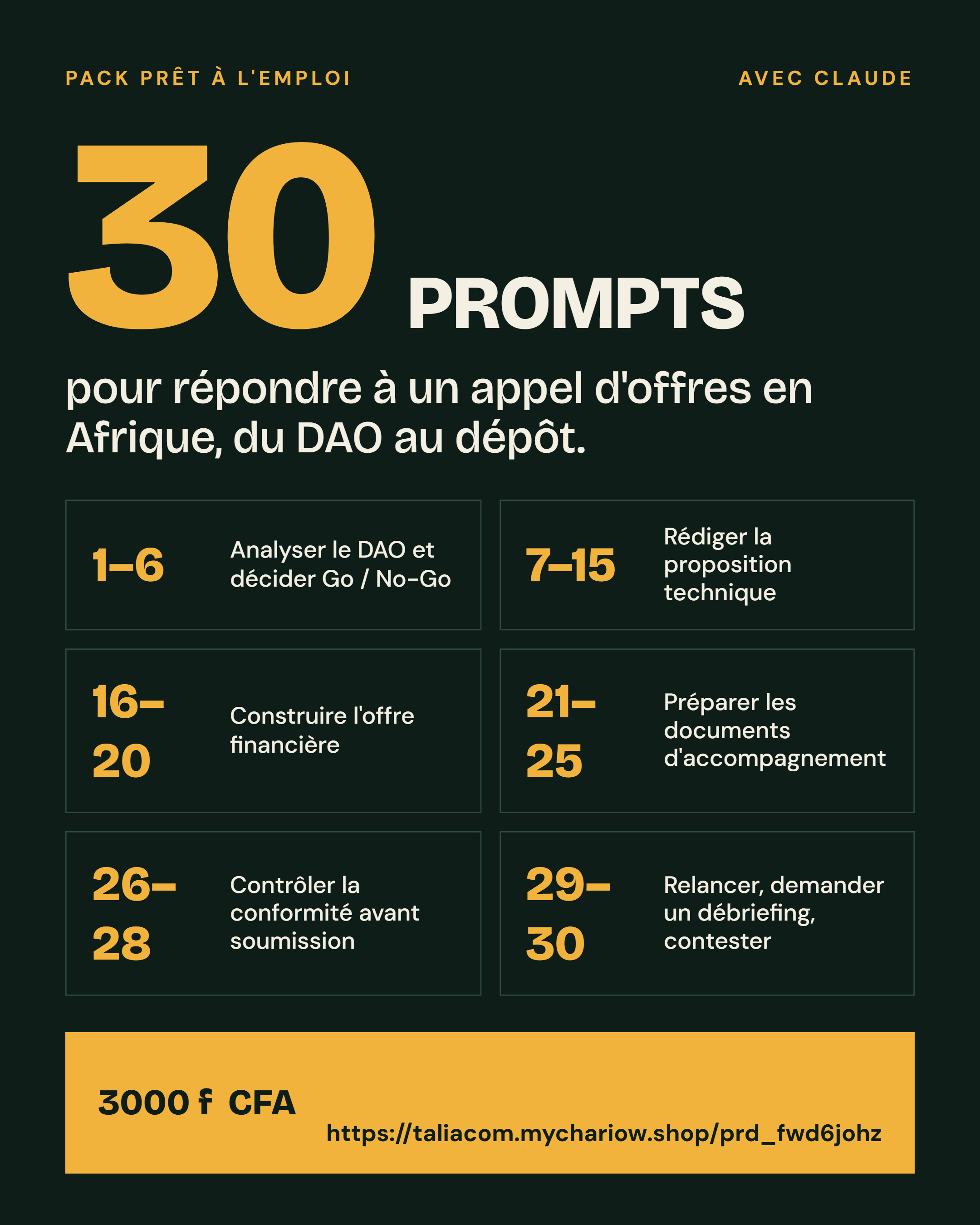 pack de 30 prompts - reponses d appels d offres projets en afrique