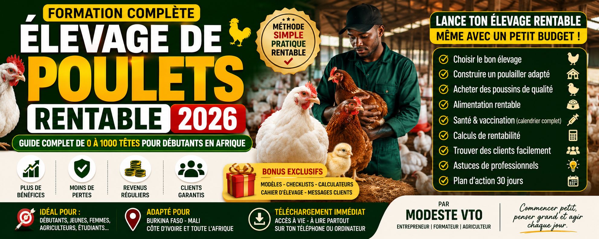 Élevage de Poulets Rentable 2026 Guide Complet de 0 à 1000 Têtes pour Débutants en Afrique