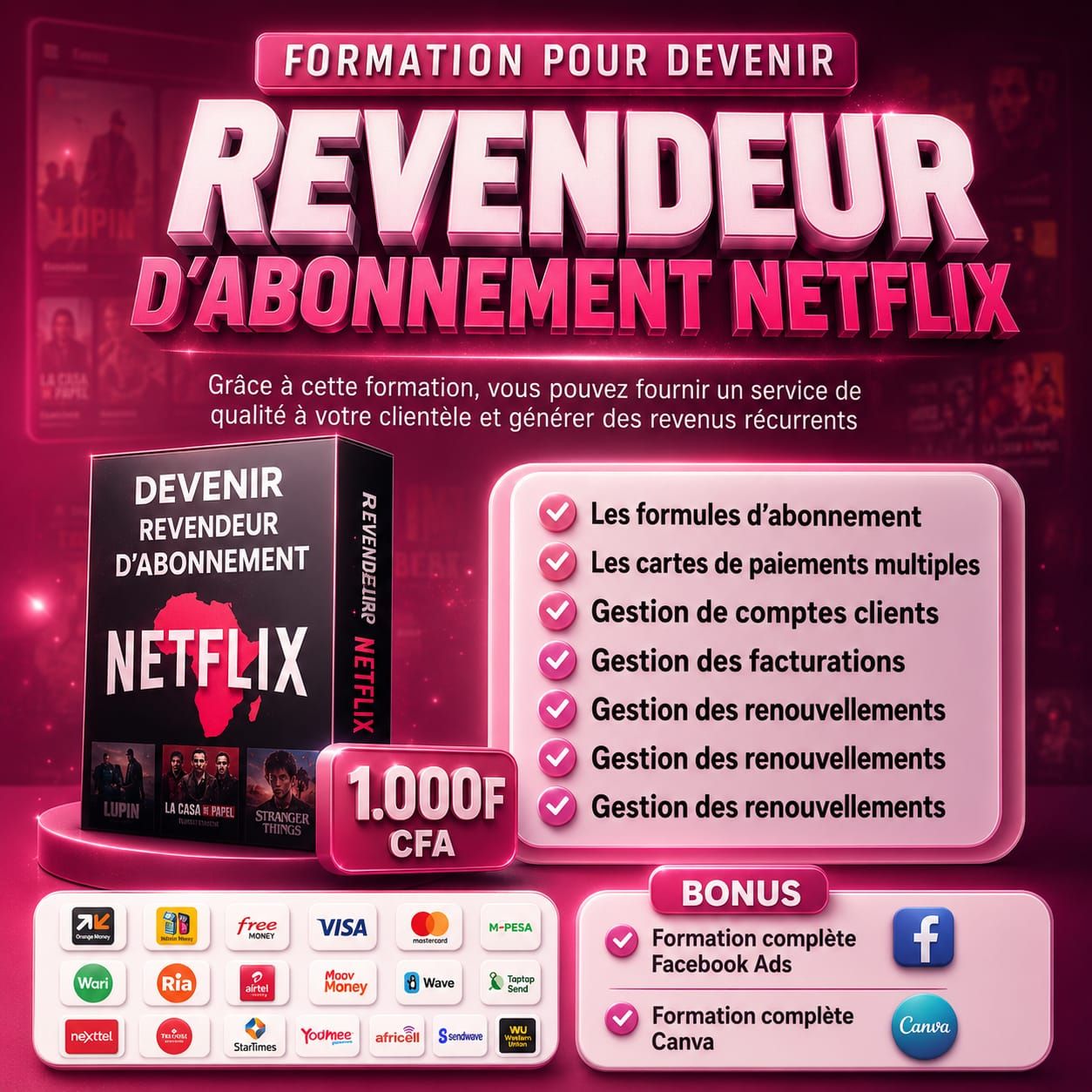 FORMATION  SUR NETFLIX