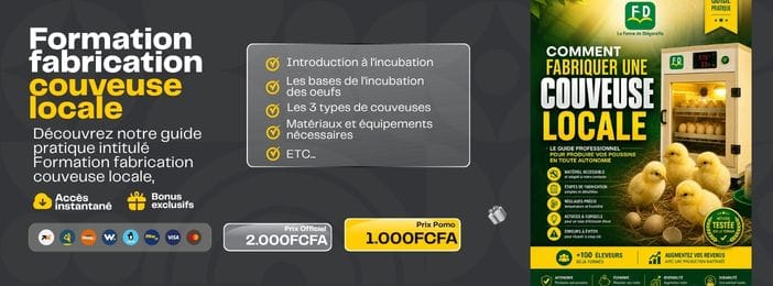 Formation fabrication couveuse locale