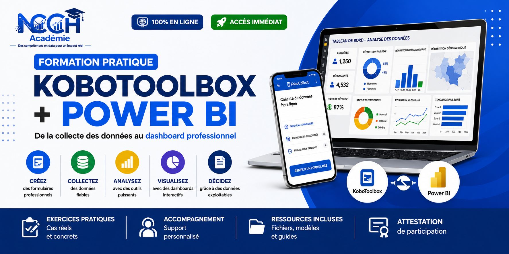 De la Collecte au Dashboard : KoboToolbox & Power B