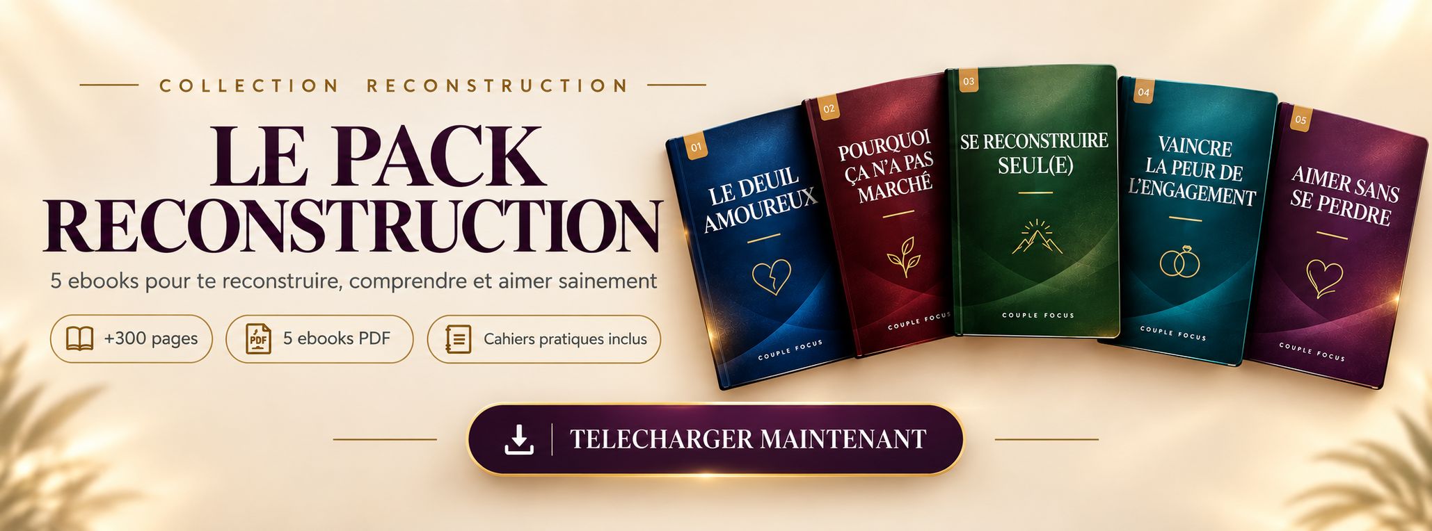 Le Pack De Reconstruction