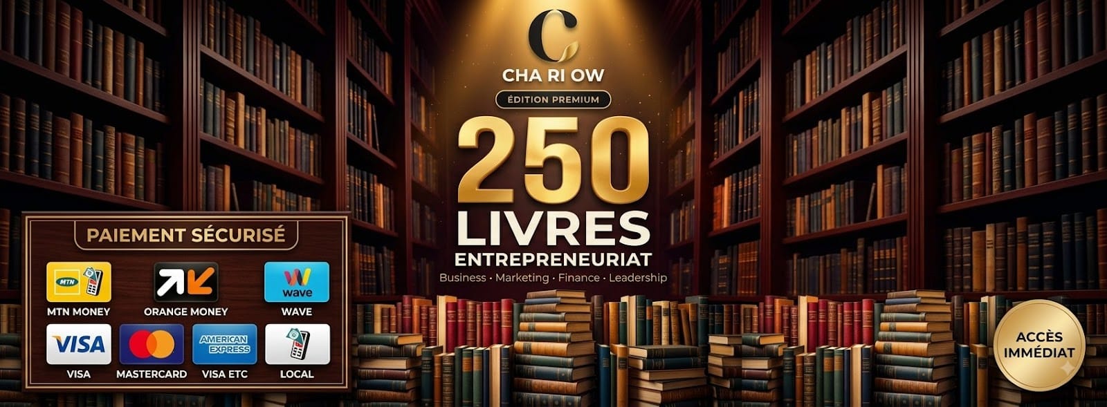 🚀 Kit 250 Livres Entrepreneuriat (Business, Marketing, Finance,Dev. perso)