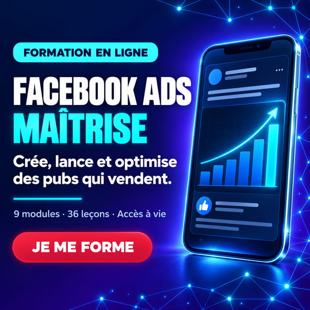 Facebook Ads Maîtrise
